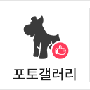 갤러리