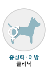 중성화클리닉