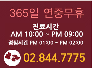 진료시간
